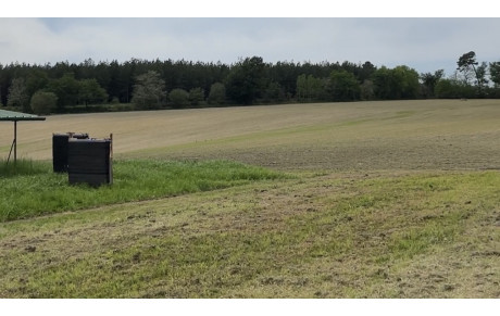 Championnat départemental campagne - Auros