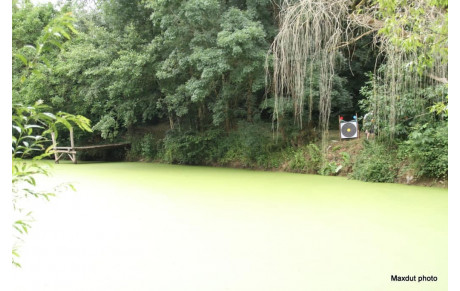 Championnat de ligue campagne - Ardin